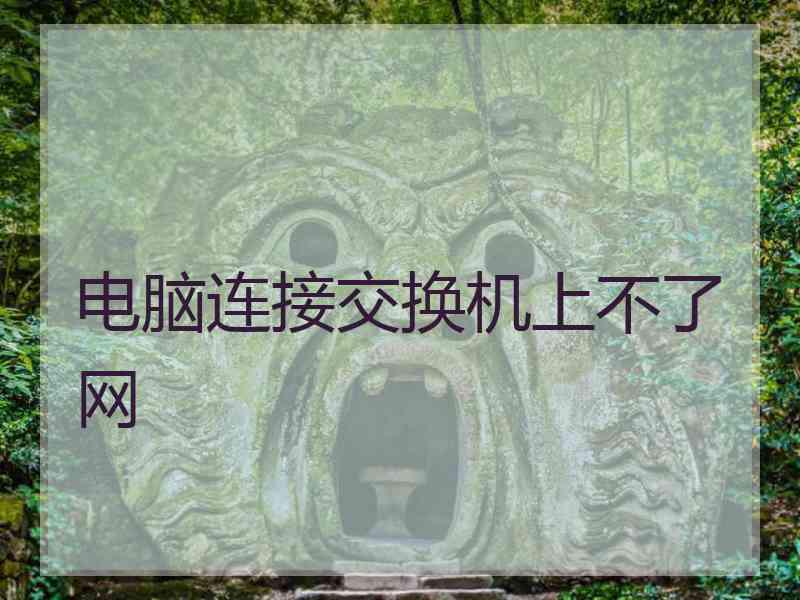 电脑连接交换机上不了网