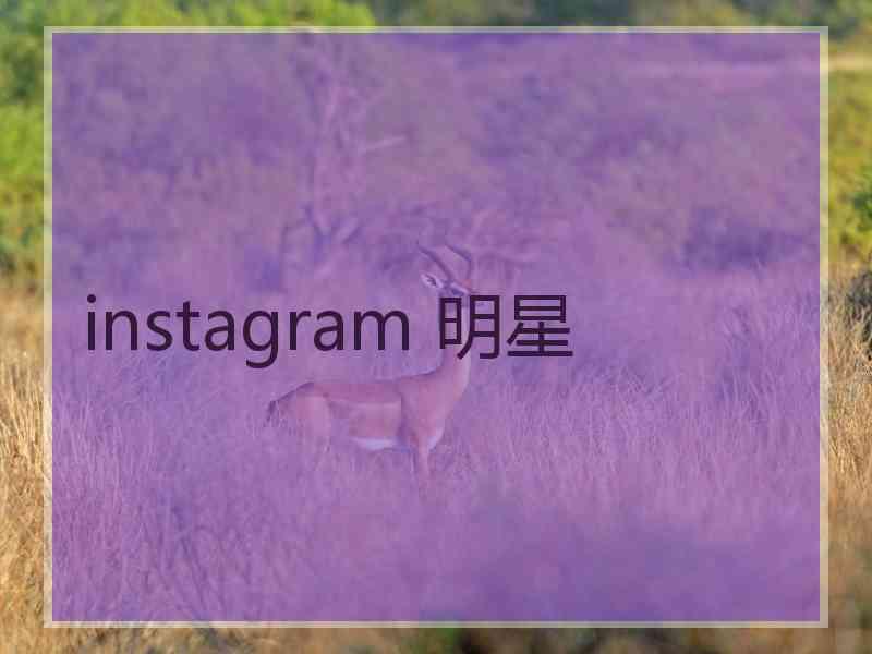 instagram 明星