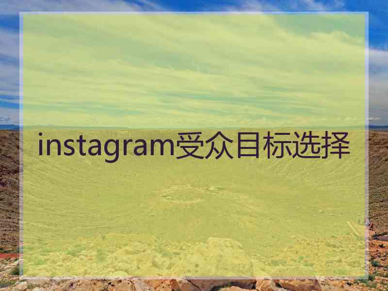 instagram受众目标选择