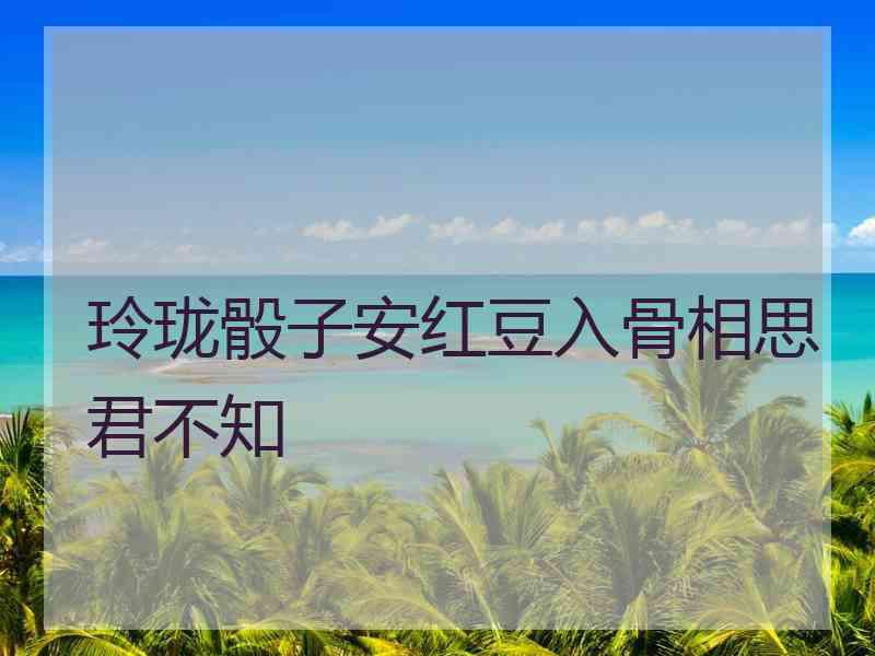 玲珑骰子安红豆入骨相思君不知