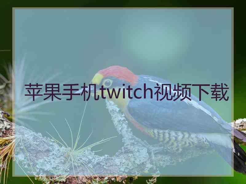 苹果手机twitch视频下载