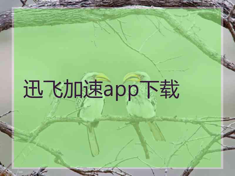 迅飞加速app下载