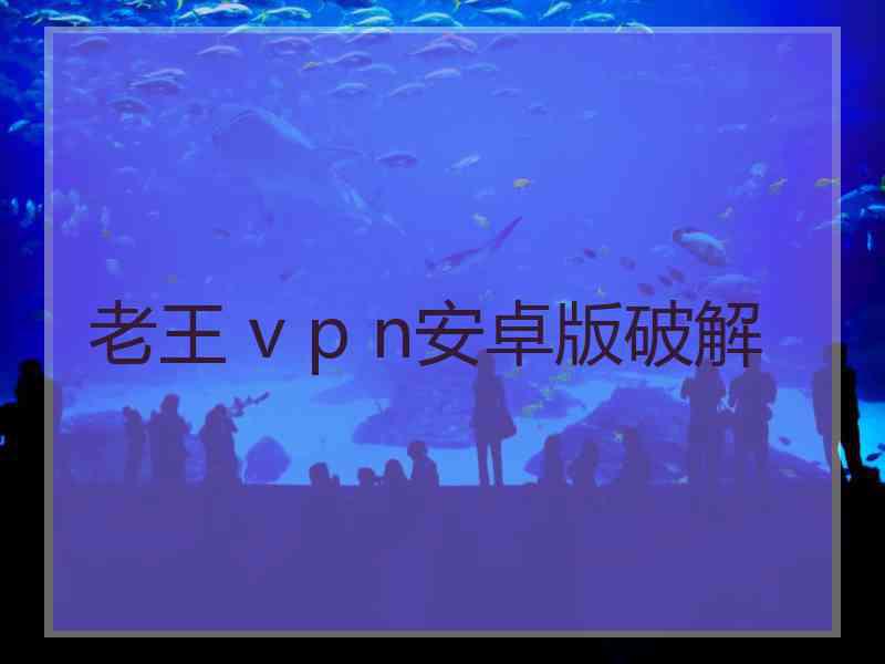 老王 v p n安卓版破解