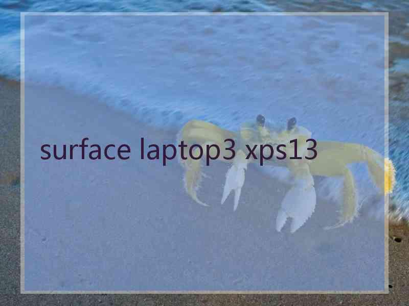 surface laptop3 xps13