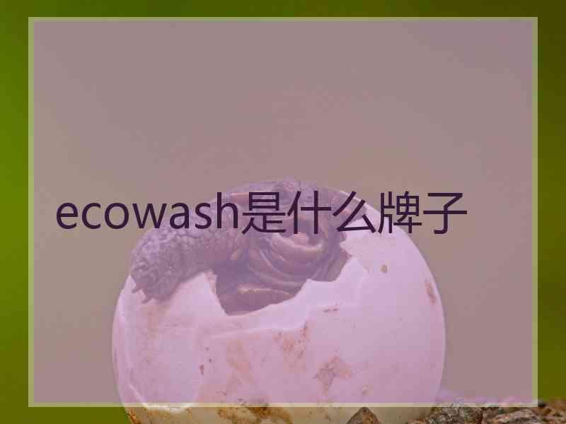 ecowash是什么牌子