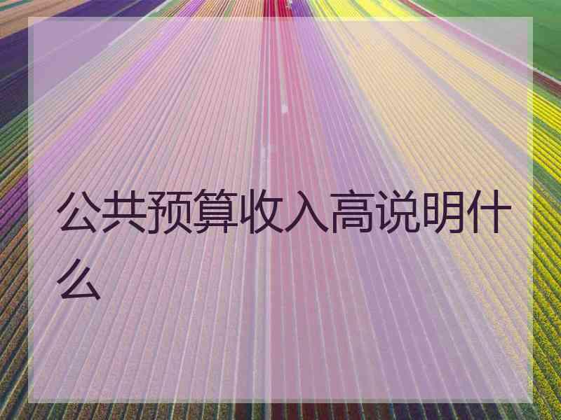 公共预算收入高说明什么