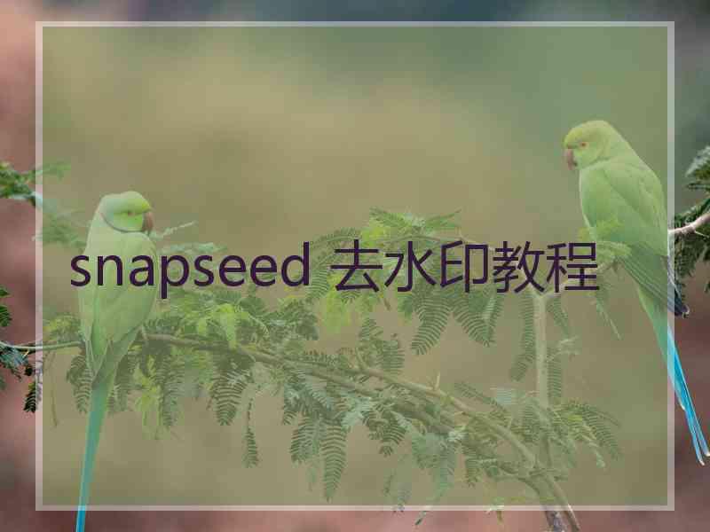 snapseed 去水印教程