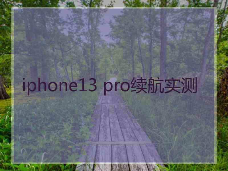 iphone13 pro续航实测