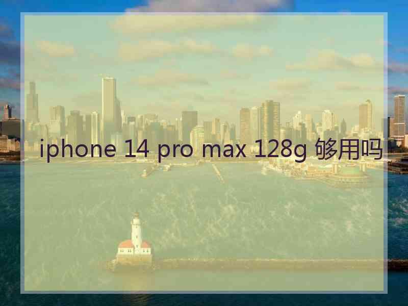 iphone 14 pro max 128g 够用吗