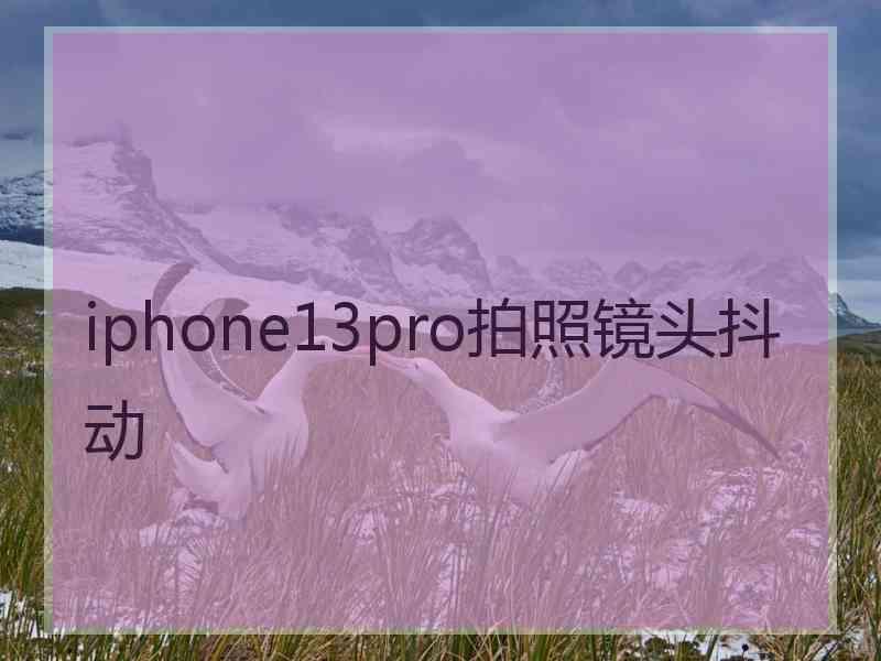 iphone13pro拍照镜头抖动