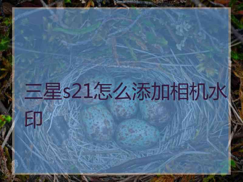 三星s21怎么添加相机水印