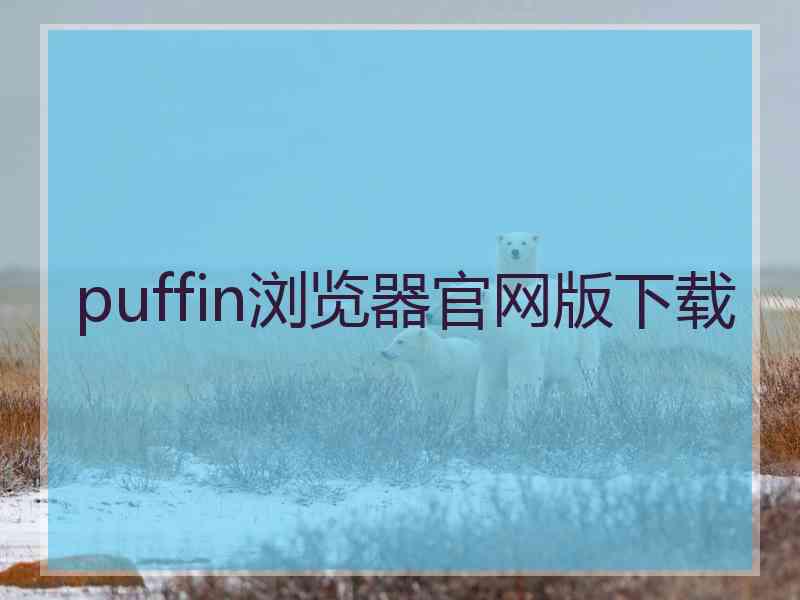 puffin浏览器官网版下载