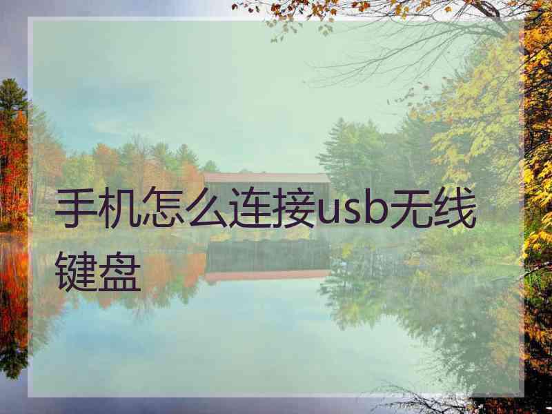 手机怎么连接usb无线键盘