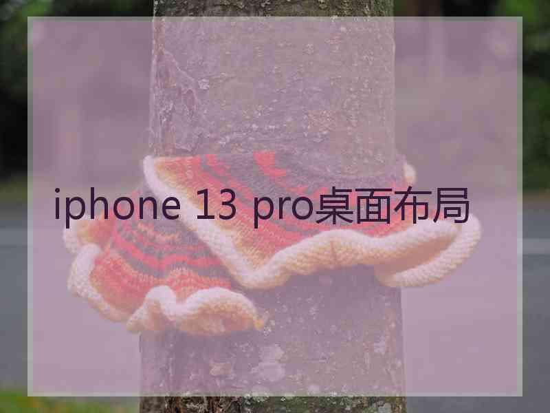 iphone 13 pro桌面布局