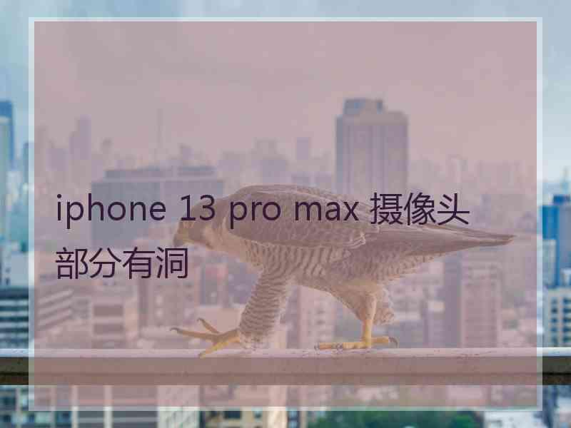 iphone 13 pro max 摄像头部分有洞