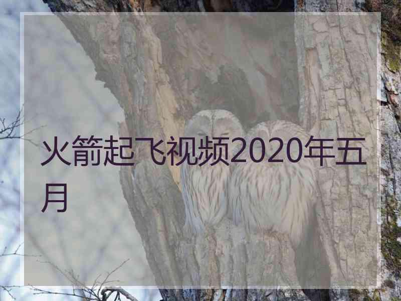 火箭起飞视频2020年五月