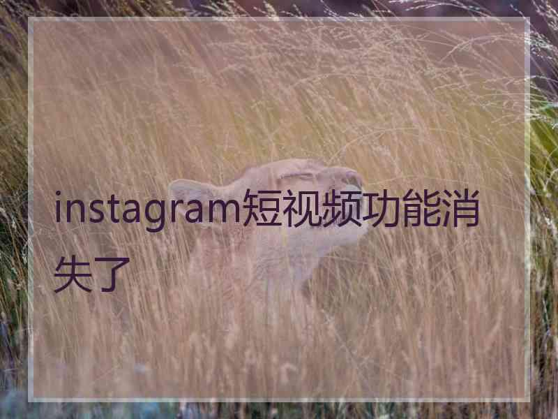 instagram短视频功能消失了