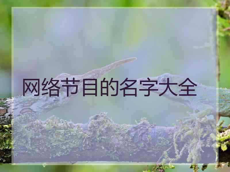 网络节目的名字大全