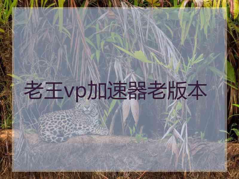 老王vp加速器老版本