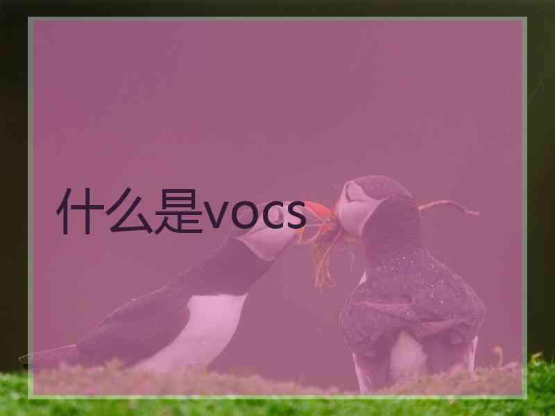 什么是vocs