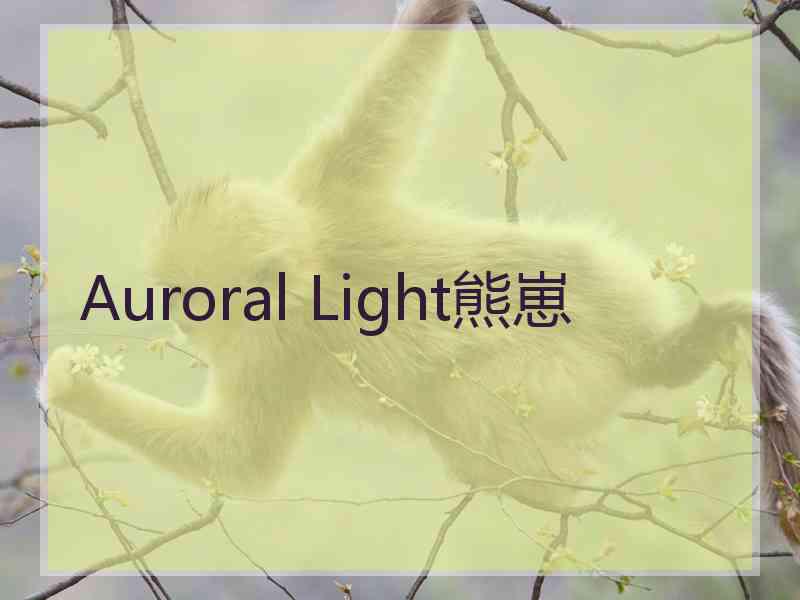 Auroral Light熊崽