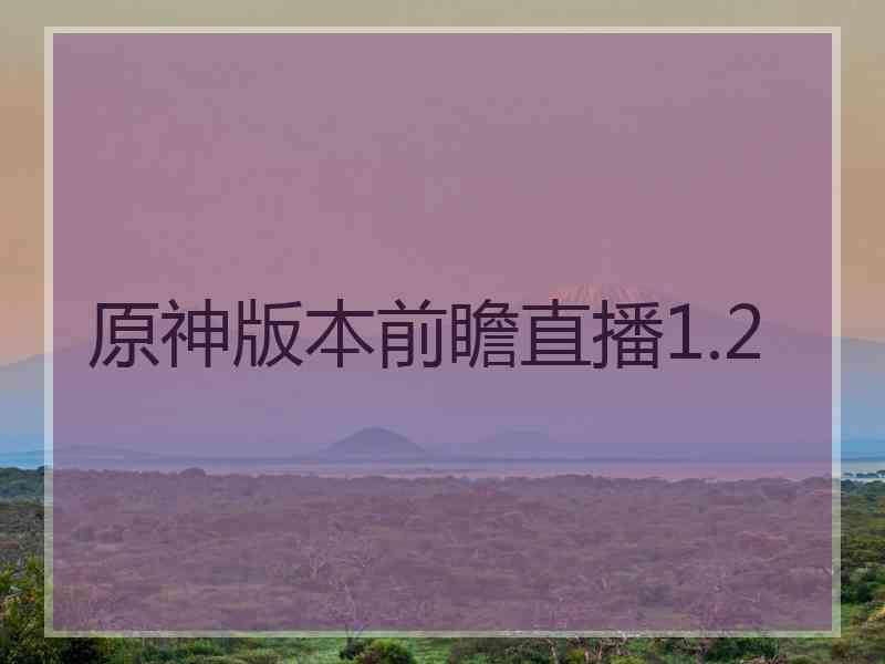 原神版本前瞻直播1.2