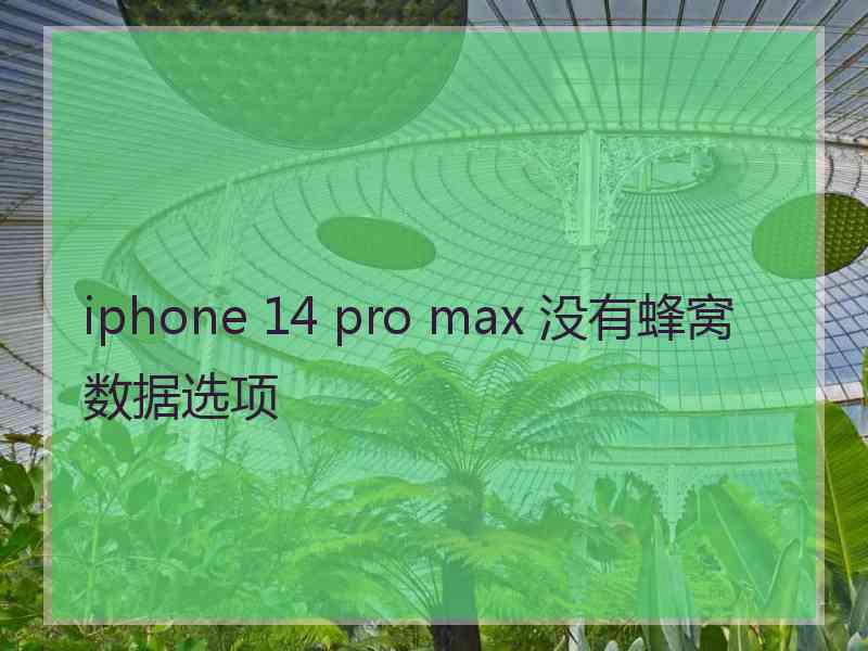 iphone 14 pro max 没有蜂窝数据选项