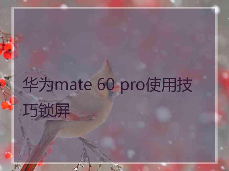 华为mate 60 pro使用技巧锁屏