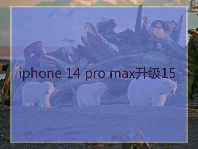 iphone 14 pro max升级15