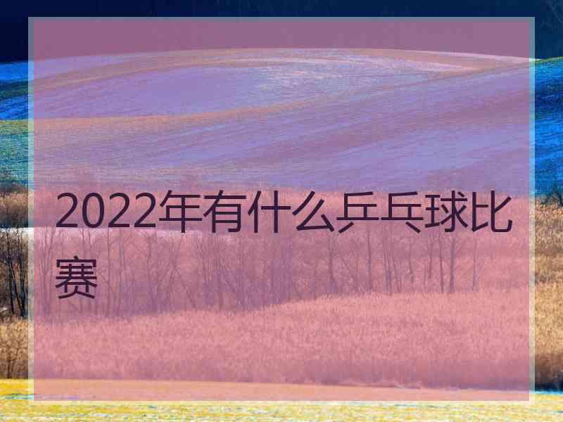 2022年有什么乒乓球比赛