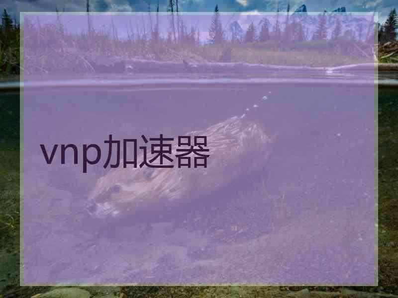 vnp加速器