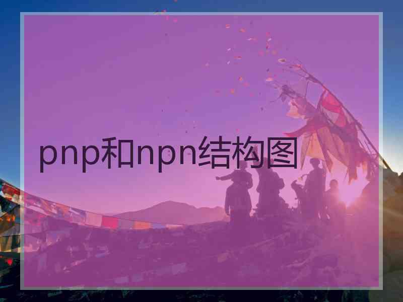 pnp和npn结构图