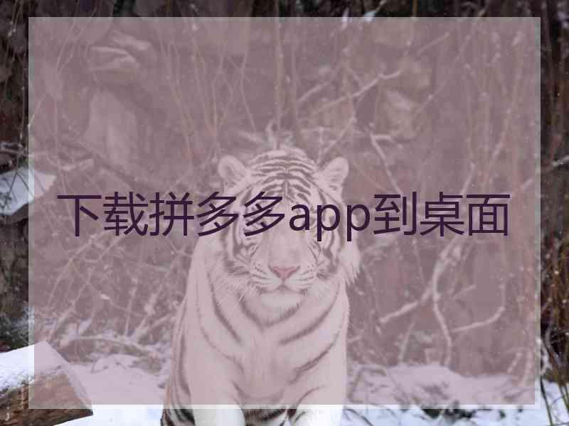 下载拼多多app到桌面