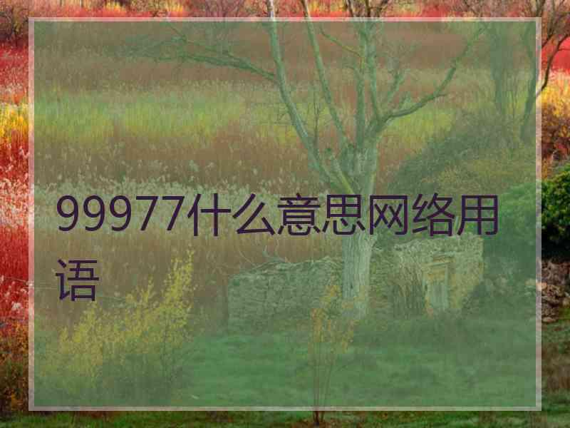 99977什么意思网络用语