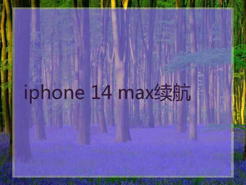 iphone 14 max续航