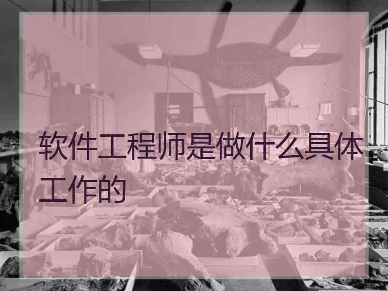 软件工程师是做什么具体工作的