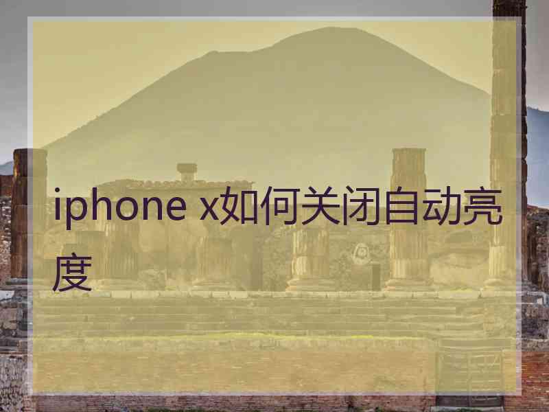 iphone x如何关闭自动亮度