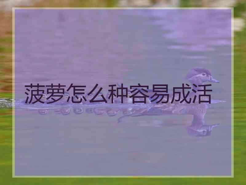 菠萝怎么种容易成活