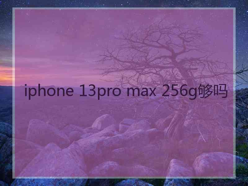 iphone 13pro max 256g够吗