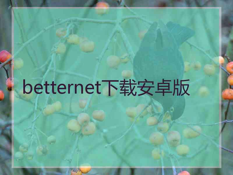 betternet下载安卓版