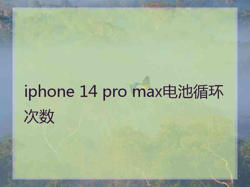 iphone 14 pro max电池循环次数