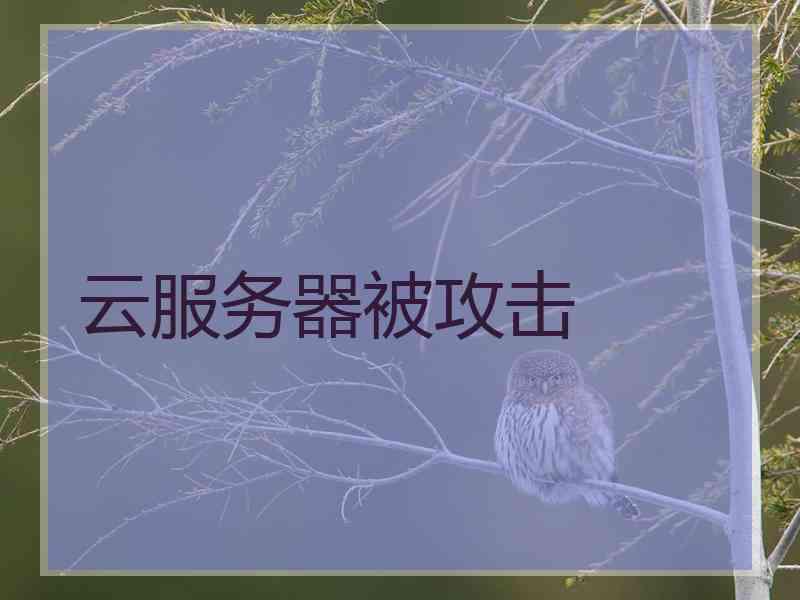 云服务器被攻击