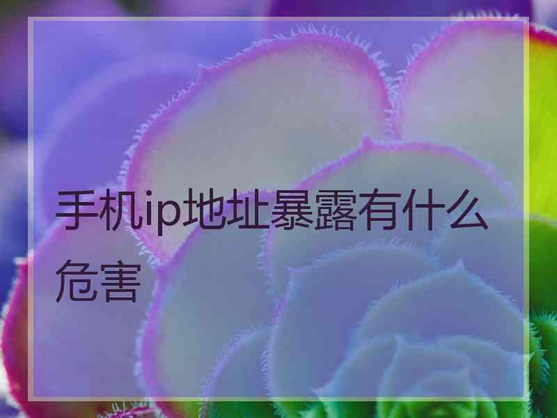 手机ip地址暴露有什么危害