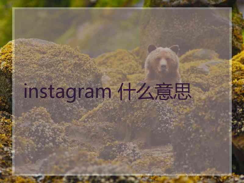 instagram 什么意思