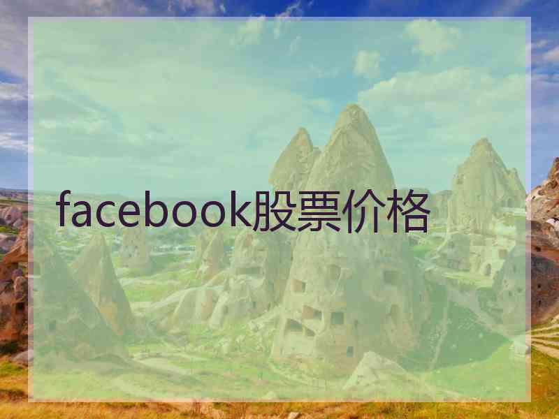 facebook股票价格