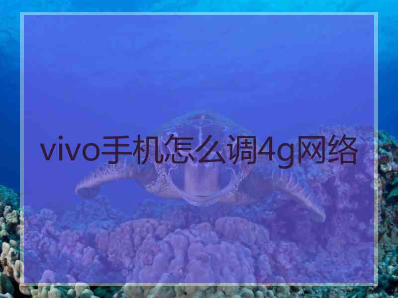 vivo手机怎么调4g网络