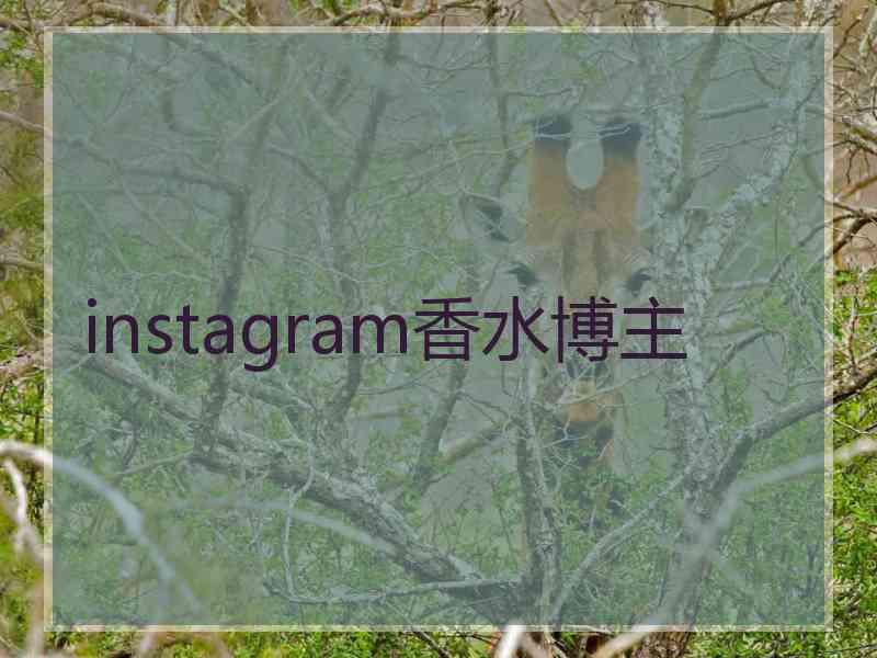 instagram香水博主