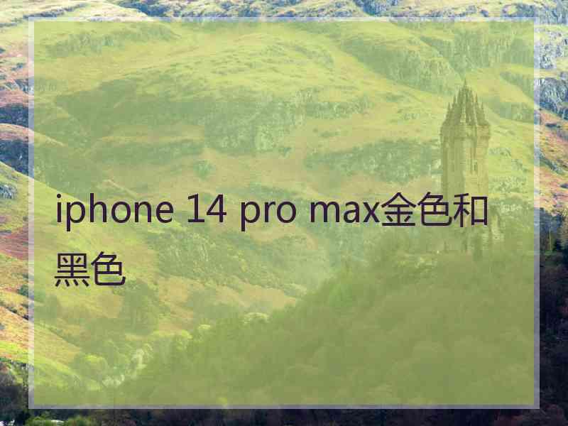 iphone 14 pro max金色和黑色