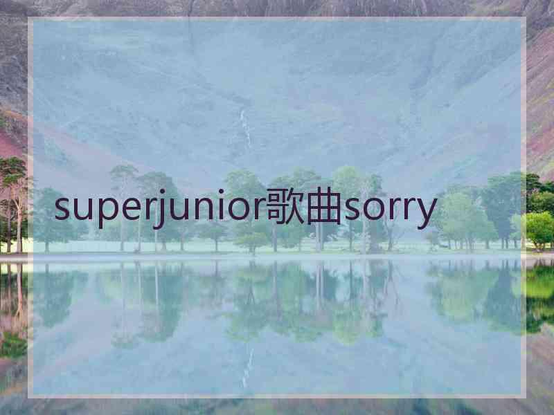 superjunior歌曲sorry