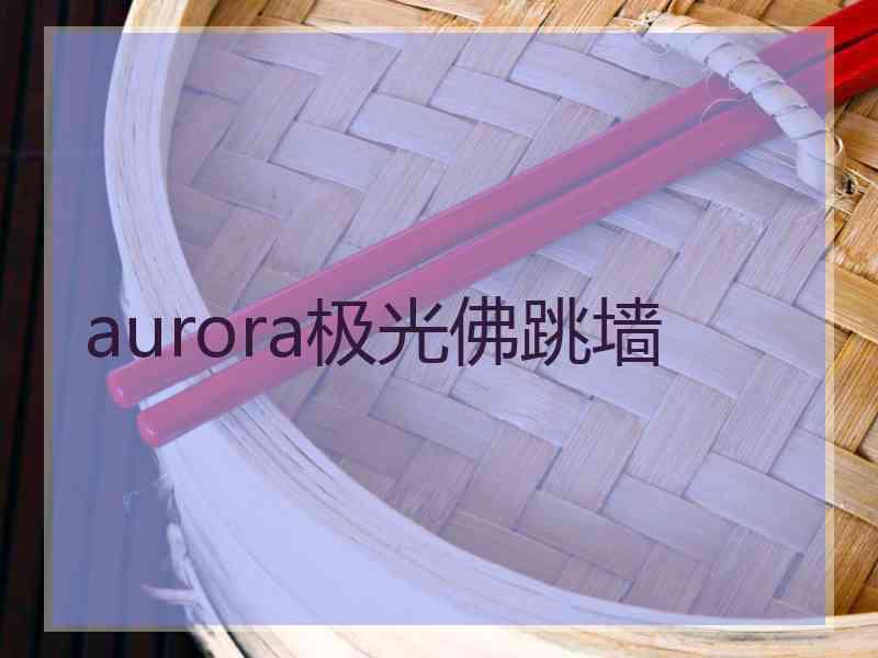 aurora极光佛跳墙